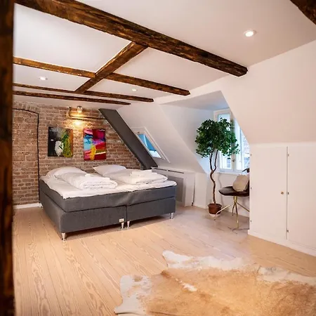 Lägenhet 2br Historic Penthouse Köpenhamn